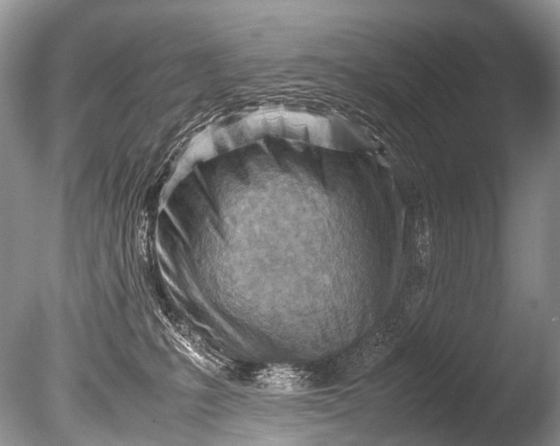 X0000085740231200703301436