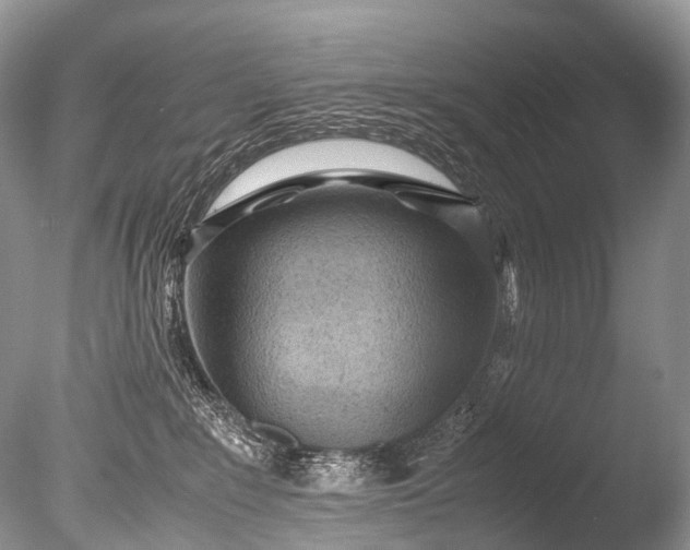 X0000085740235200703301436
