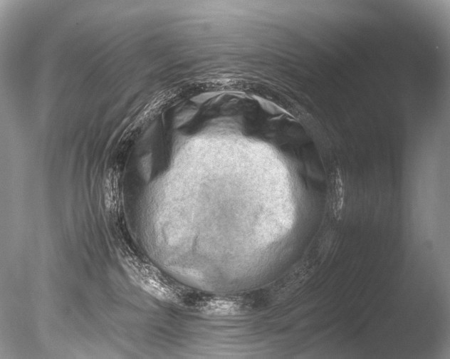 X0000085740236200703301436