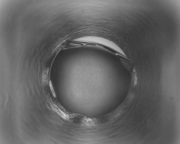 X0000085740239200703301436