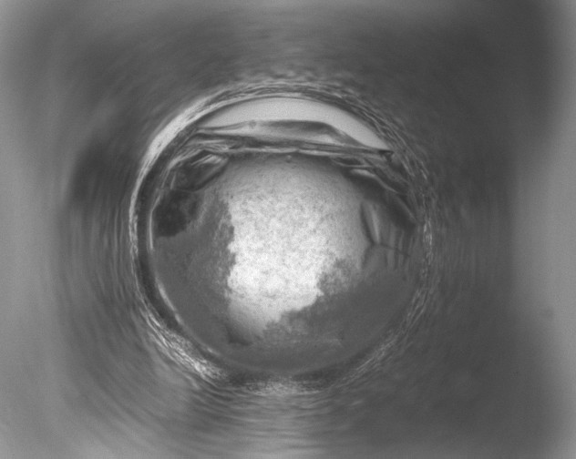 X0000085740246200703301435