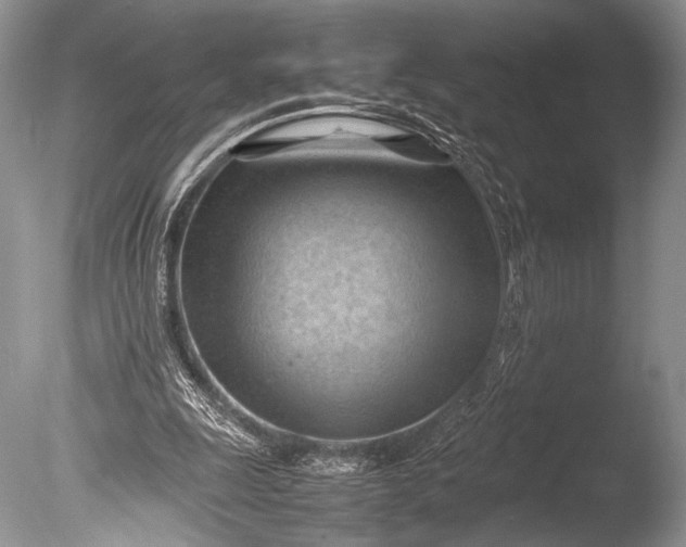 X0000085740247200703301435