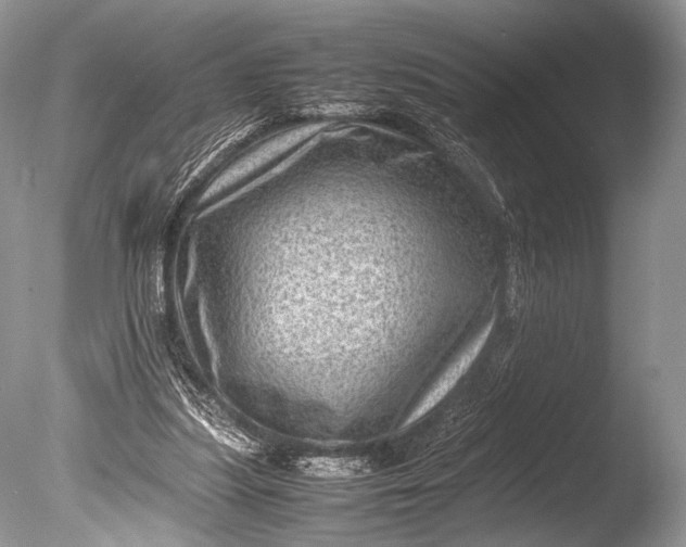 X0000085740251200703301435
