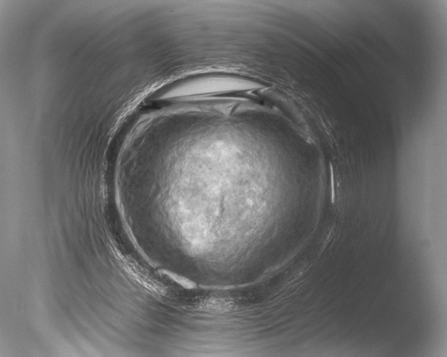 X0000085740252200703301435