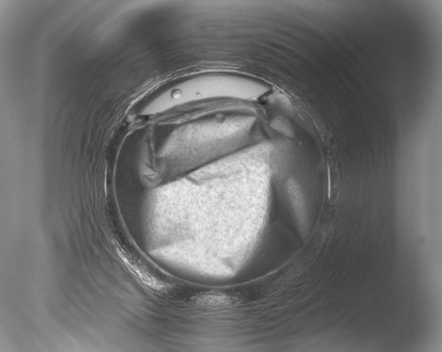 X0000085740253200703301436