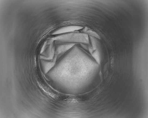 X0000085740254200703301436