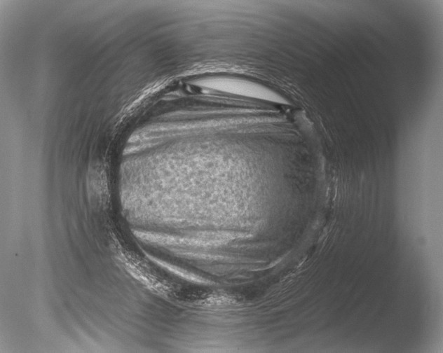 X0000085740256200703301436