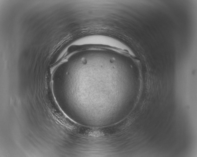 X0000085740258200703301436