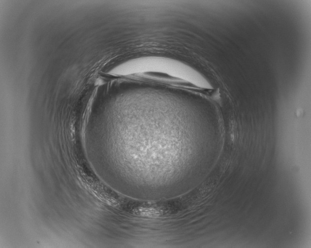 X0000085740259200703301436