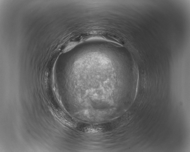 X0000085740263200703301436