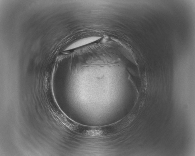 X0000085740266200703301436