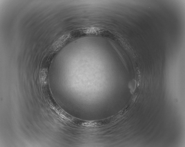 X0000085740273200703301436