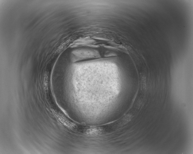 X0000085740274200703301436