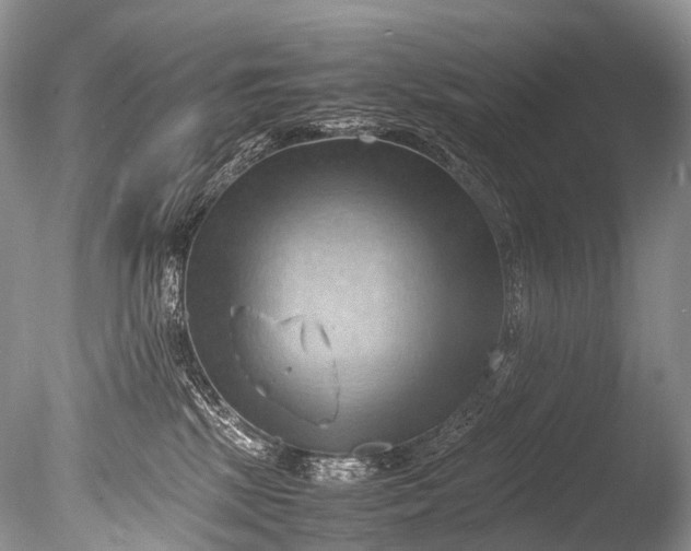 X0000085740281200703301436