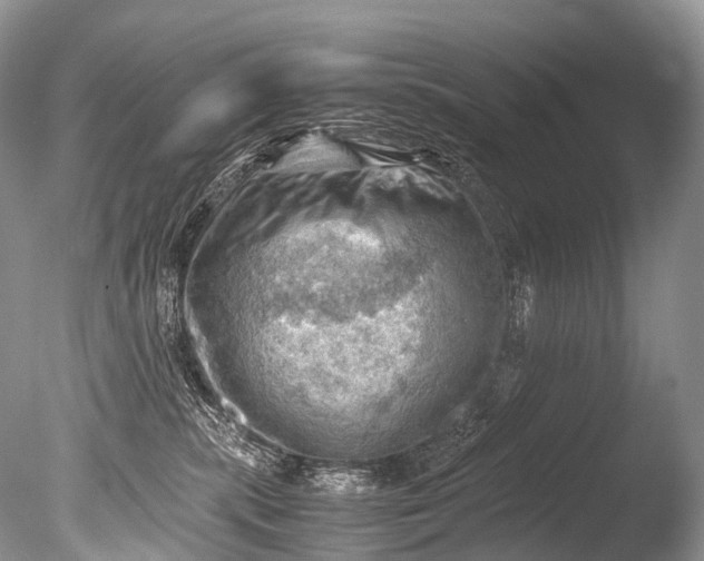 X0000085740283200703301436