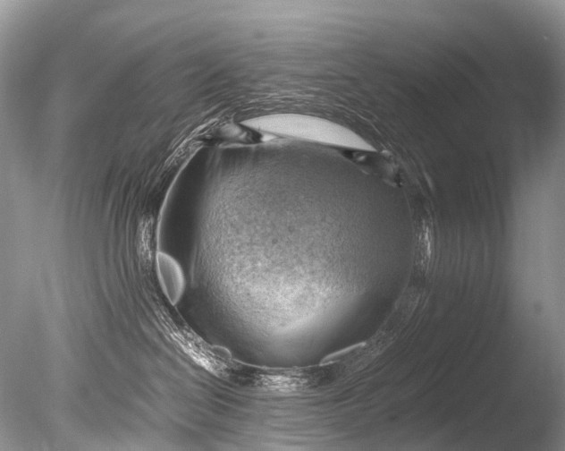 X0000085740286200703301436