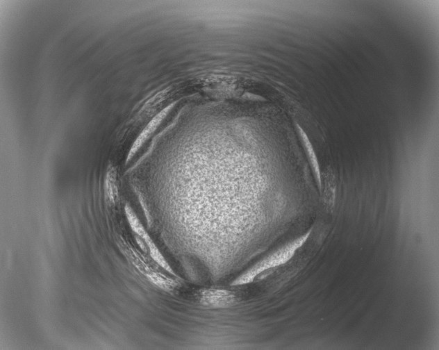 X0000085740287200703301436