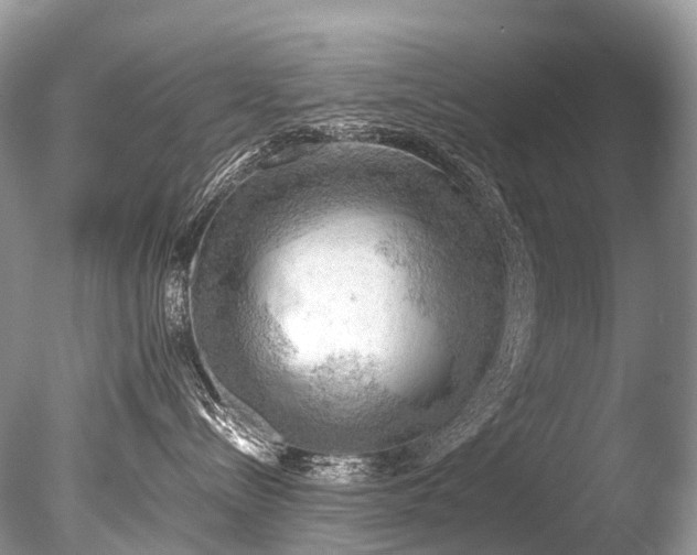 X0000085740288200703301436
