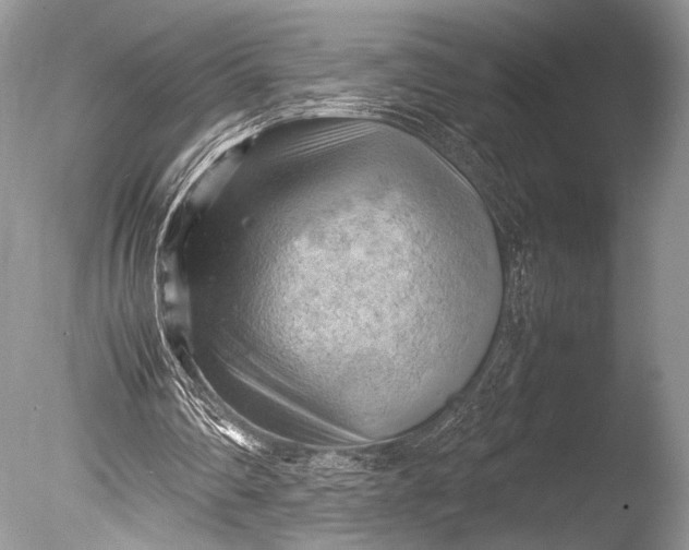 X0000085740290200703301435