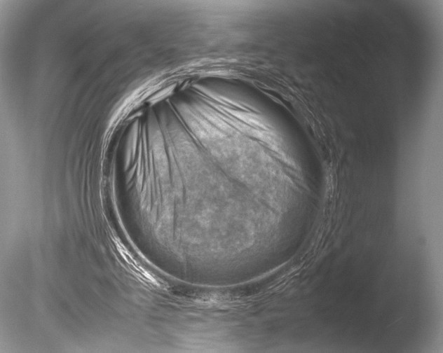 X0000085740293200703301435