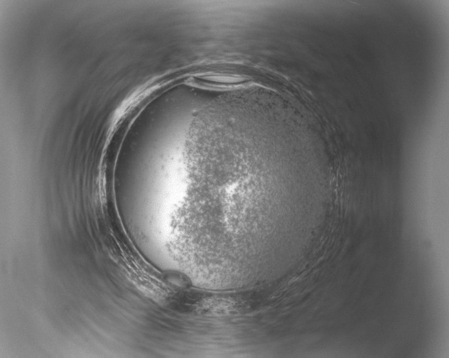 X0000085740294200703301435