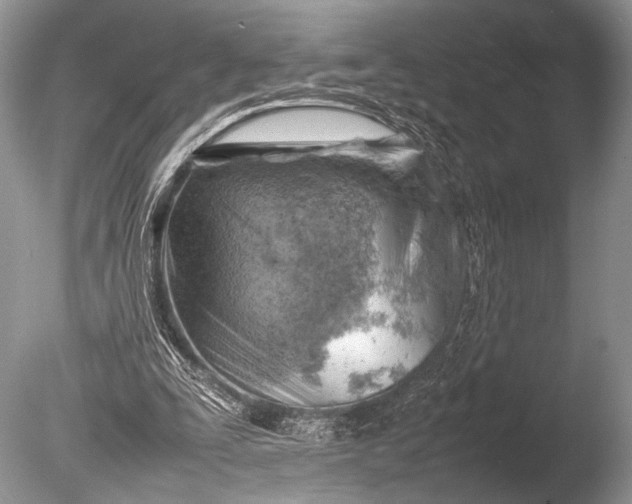 X0000085740295200703301435