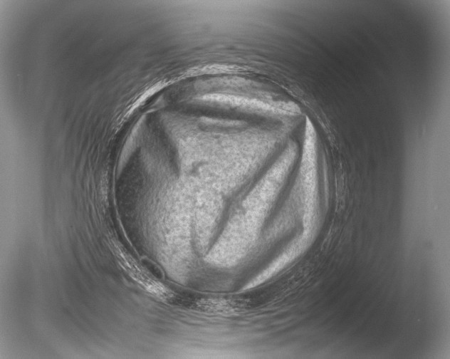 X0000085740297200703301435