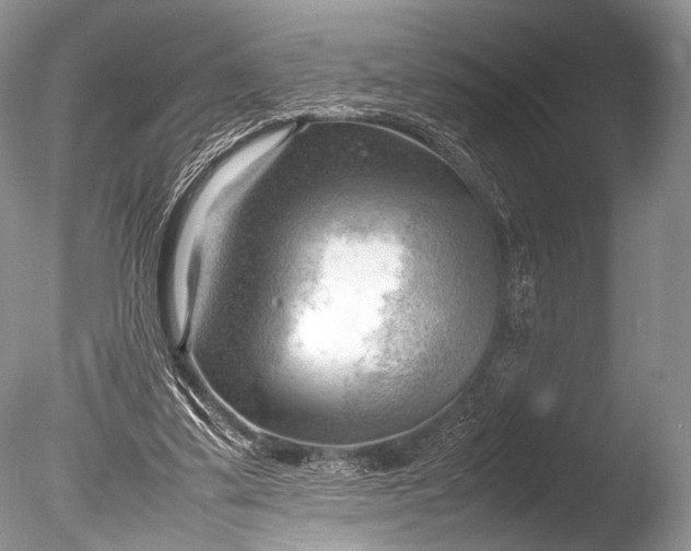 X0000085740299200703301435