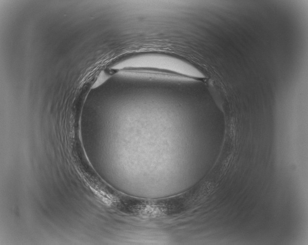 X0000085740303200703301435