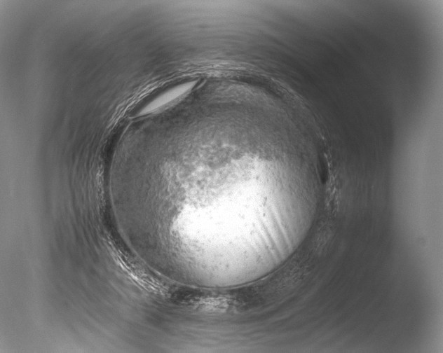X0000085740306200703301435