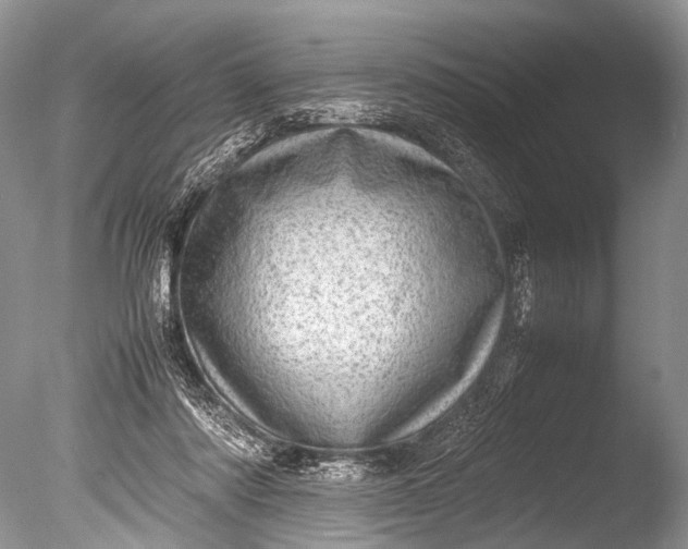 X0000085740310200703301435