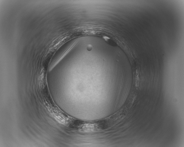 X0000085740314200703301435