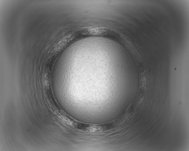 X0000085740317200703301435