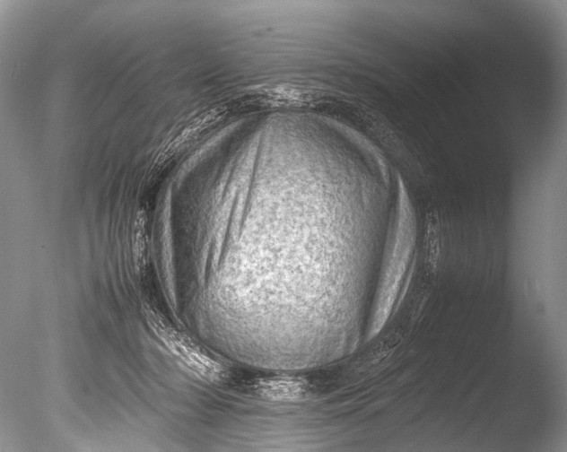 X0000085740318200703301435