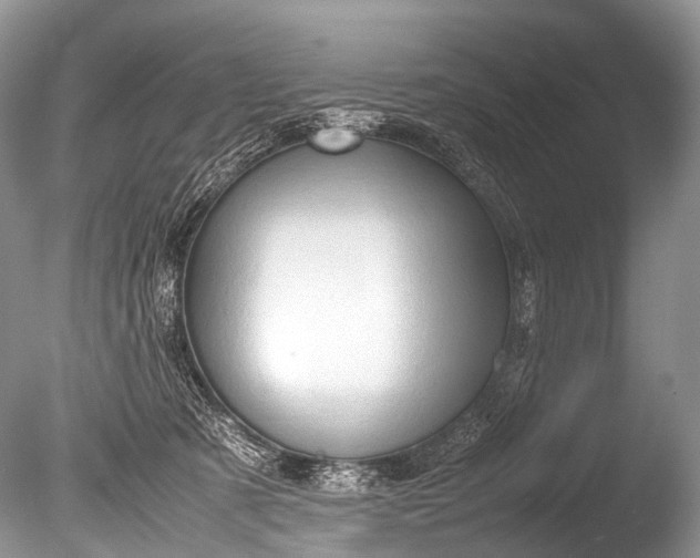 X0000085740321200703301435