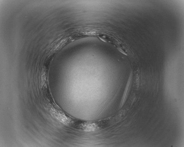 X0000085740322200703301435