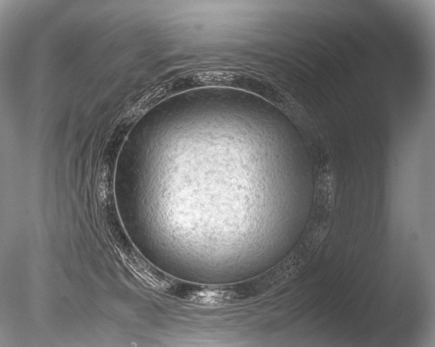 X0000085740323200703301435