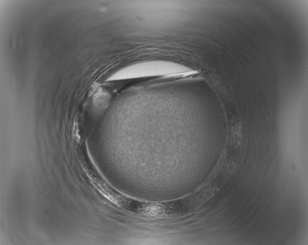 X0000085740325200703301435