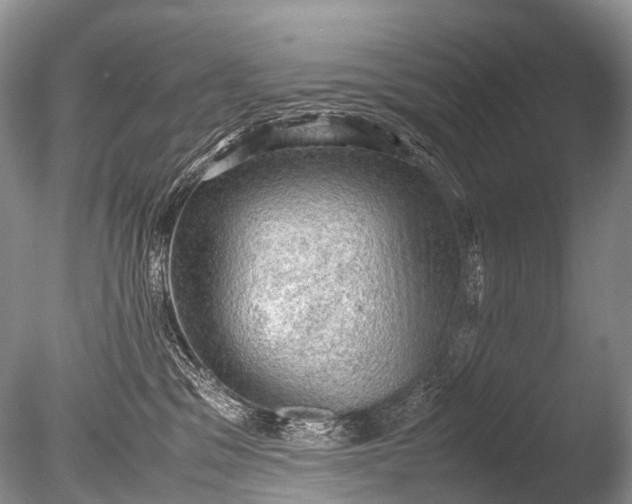 X0000085740329200703301435