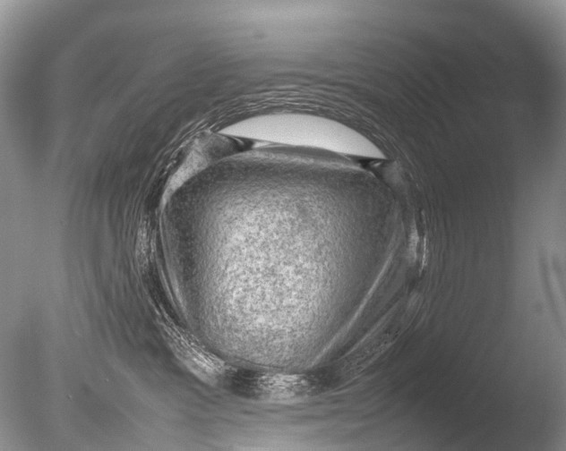 X0000085740333200703301435