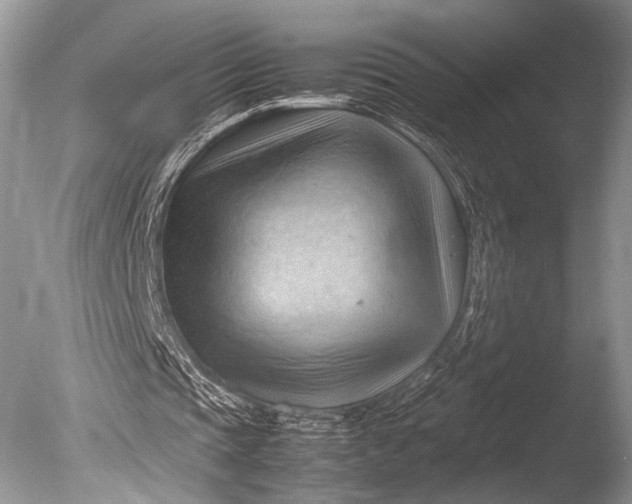 X0000085740337200703301434