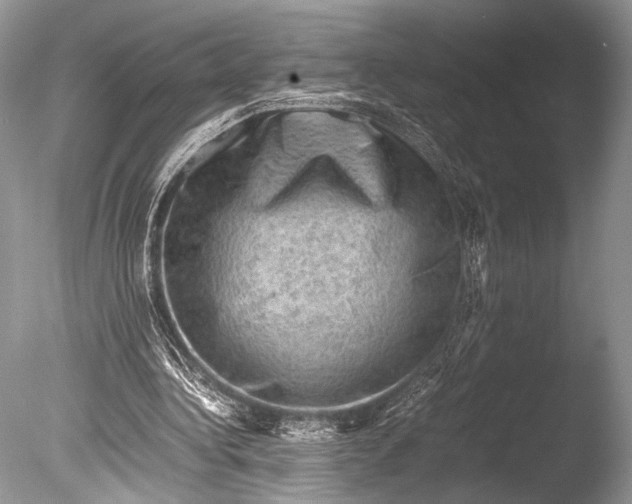X0000085740340200703301434