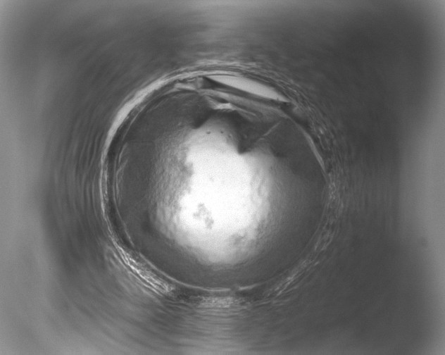 X0000085740342200703301434