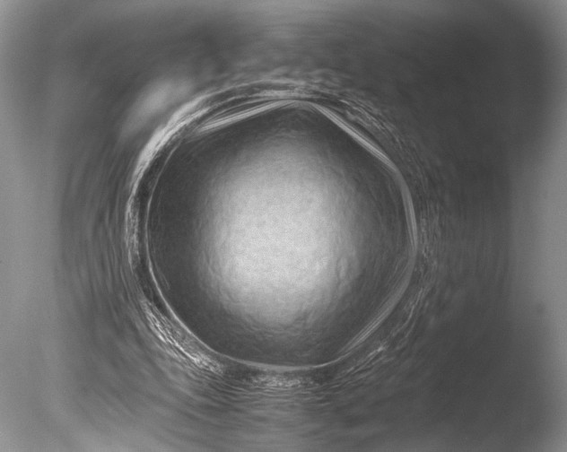 X0000085740343200703301434