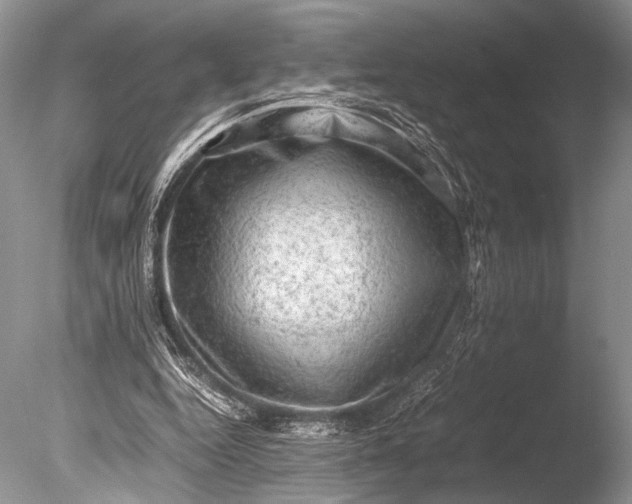 X0000085740344200703301434