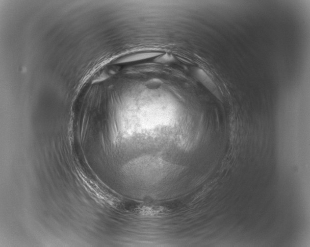 X0000085740346200703301434