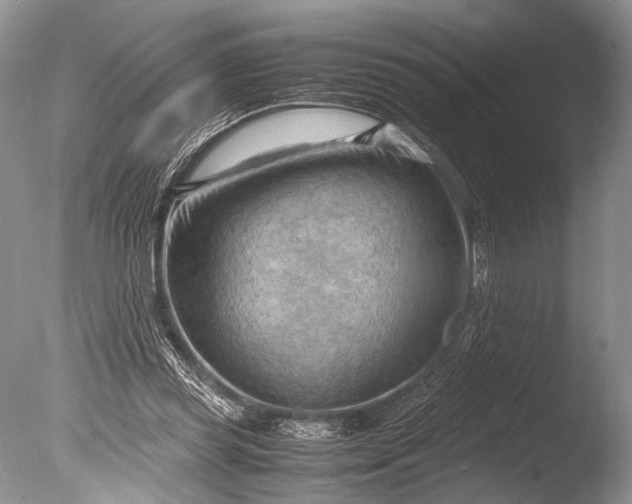 X0000085740349200703301434