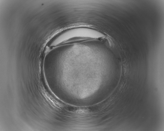 X0000085740350200703301434