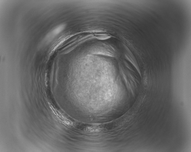 X0000085740351200703301434
