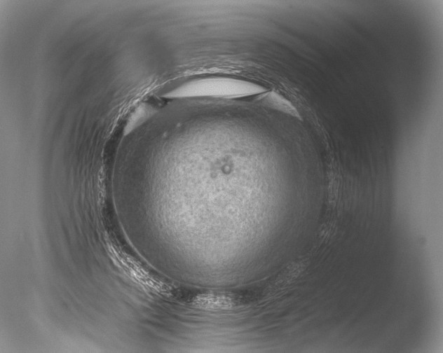 X0000085740354200703301434